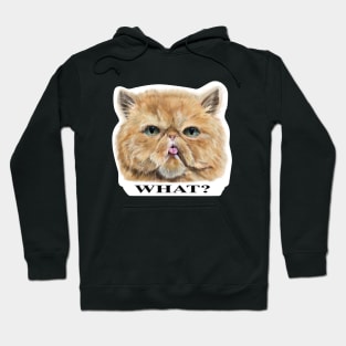 Persian Cat, What, T-Shirt Hoodie